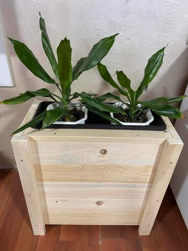 Police: 4500rsd lakirane bezjonim lakom
4.800rsd u bojama po izboru — 1