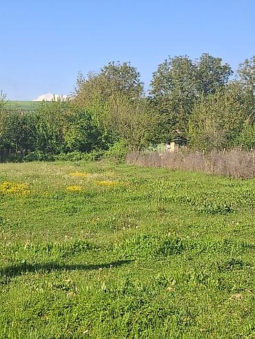Torpaq sahələrinin satışı: Tikinti — 13