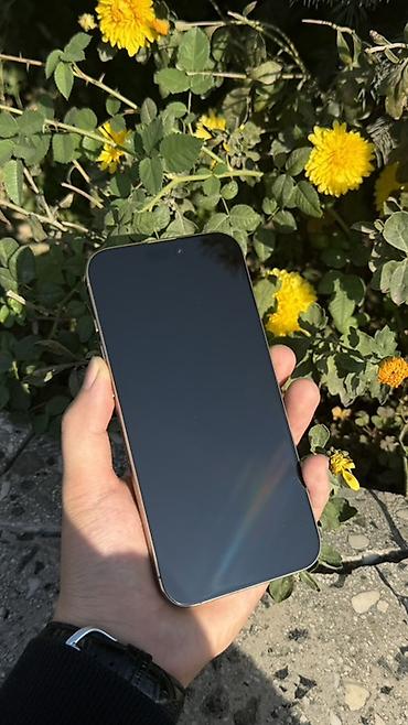 копия реплика: IPhone 16 Pro Max, Б/у, 256 ГБ, Золотой, Зарядное устройство, Защитное стекло, Чехол, В рассрочку, 88 % — 2