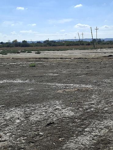 car parking 06: Tikinti — 5