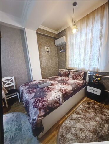 Günlük kirayə mənzillər: 1 otaqlı — 14