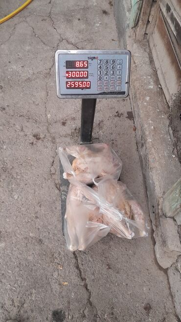 бут кийим полка: Бройлер :, 9 кг