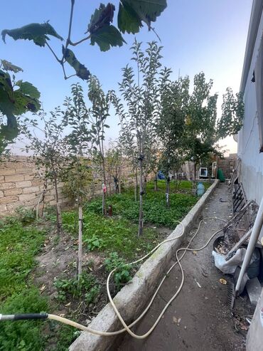 Həyət evləri və villaların satışı: 3 otaqlı, 90 kv. m — 2