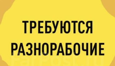 требуется реализатор на дордой: Талап кылынат Ар түрдүү жумуштарды жасаган жумушчу, Төлөм Күнүмдүк, Тажрыйбасыз