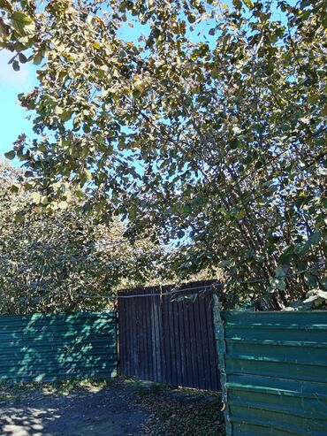 Həyət evləri və villaların satışı: 3 otaqlı, 100 kv. m, Kredit yoxdur, Yeni təmirli -da lalafo.az — 4 Həyət evləri və villaların satışı: 3 otaqlı, 100 kv. m, Kredit yoxdur, Yeni təmirli — 4