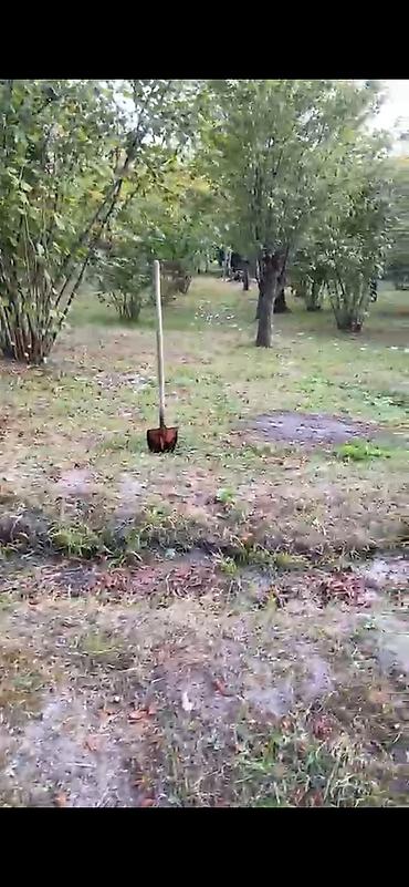 28 sot, Biznes üçün, Mülkiyyətçi, Kupça (Çıxarış) lalafo.az -da 28 sot, Biznes üçün, Mülkiyyətçi, Kupça (Çıxarış)