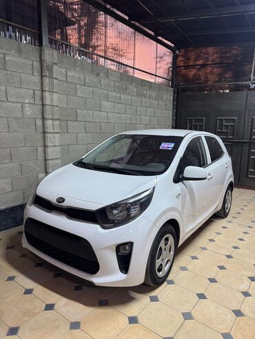 авто из кореи в наличии в бишкеке: Kia Morning: 2019 г., 1 л, Автомат, Газ, Хэтчбэк