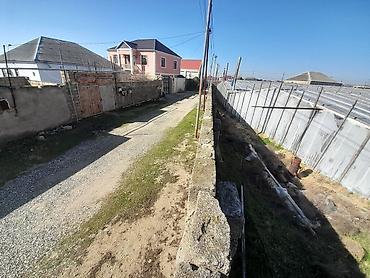 Torpaq sahələrinin satışı: Kənd təsərrüfatı — 4