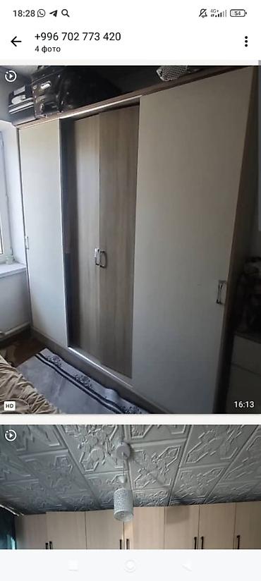 листья: Санcевиерия (тещин язык) в горшках + мини-мойка высокого давления — 2