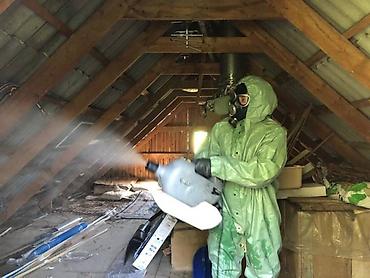 Дезинфекция, дезинсекция: Дезинфекция, дезинсекция, | Блохи, Вирусы, микробы, Клопы, | Дома, Кафе, магазины, Квартиры — 10