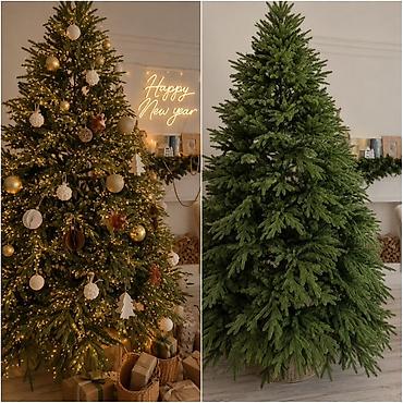 Yeni il ağacları: 🎄 Hündürlüyü — demək olar ki, 2,5 metrdir 🎄 Çox sıx və gur — 1