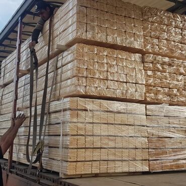 Qapı tacları və plintusları: Obsifqa ve Plintuslarin Topdan ve Perakenden Satisi, Her Növ Sade ve — 6