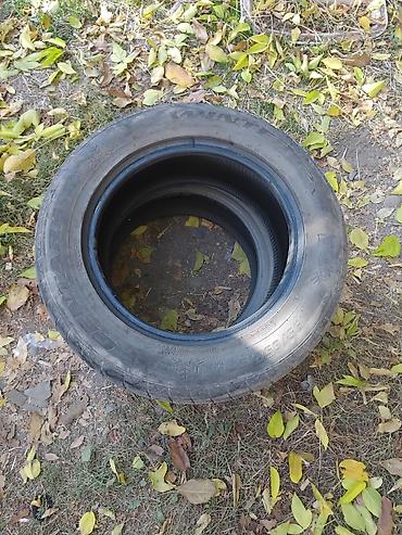 Зимние шины General Tire Altimax Arctic (WINTER) — комплект 2 шт. -