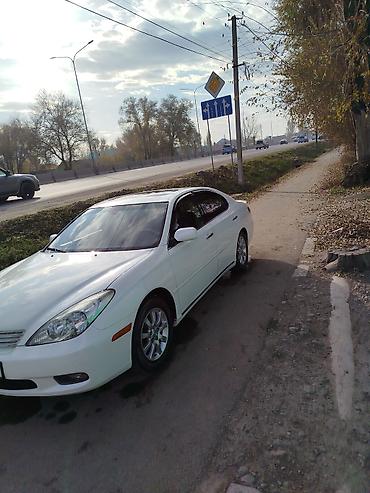 kia saluto: Lexus ES: 2002 г., Автомат, Седан — 1