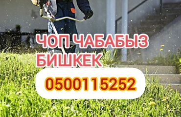 гозоно косилка: Газон чапкыч Акысыз жеткирүү
