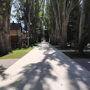 Посуточная аренда квартир: Сдаются просторные апартаменты/коттедж в центре отдыха «Лазурный — 10