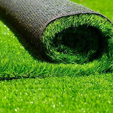 цветы монетка: 🌿 ХОТИТЕ ВСЕГДА ЗЕЛЁНЫЙ ГАЗОН? Мы предлагаем: ✔️ Продажу — 5