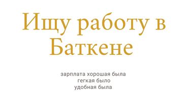 работа бишкек 2024: Толук эмес жумуш күнү, Бир күн иштеп, бир күн бош, Техколдоо, 23 жаштан жогору