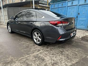 Hyundai: Hyundai Sonata: 2018 г., Седан — 8