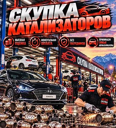 bcd com: Катализатор сатып алабыз,эн кымбат баада, Скупка катализаторов очень — 1