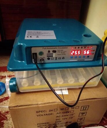 Biznes üçün program təminatı: Inkubatorlar 16 toyuq yumurtalıq 70 azn 30 yumurtalıq yumru 90 azn