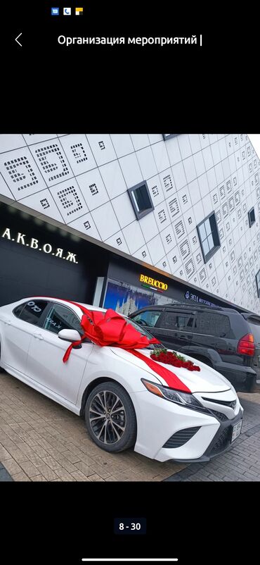 Организация мероприятий: Организация мероприятий | Оформление мероприятий, Аниматоры, Гелевые шары — 19