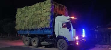 жол тандабас унаалар: Жүк ташуучу унаа, Камаз, Дубль, 7 т, Колдонулган