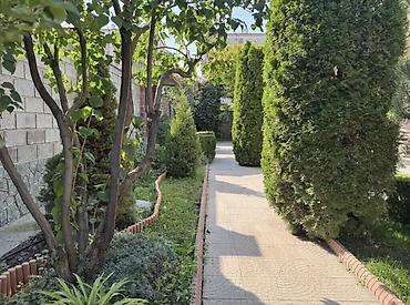 Долгосрочная аренда домов: 200 м², 4 комнаты — 4