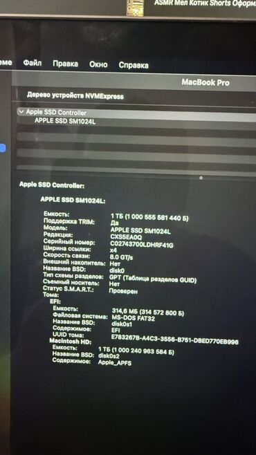 Ноутбуки: Ноутбук, Apple, 16 ГБ ОЗУ, Intel Core i7, 15.4 ", Для работы, учебы, память SSD — 10
