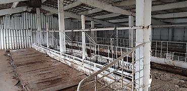 Кыймылсыз мүлк: Мүйүздүү бодо мал фермасы, 75 соток, Канализация, Скважина — 9