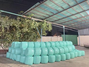 нашли кошку: Продаю силос