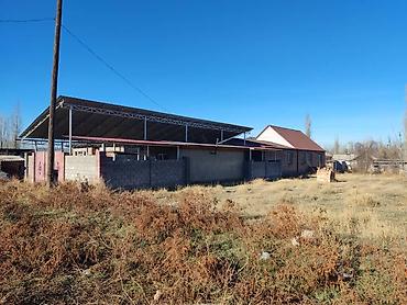 Долгосрочная аренда домов: Срочно продается дом 4 х комнатный с времянкой Требуется ремонт ( — 11