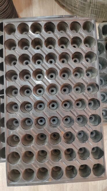 Toxumlar: Buşitil qabi
104şitilqAbi
torf250lulitrlik
torf ekolay
torf balaken — 9