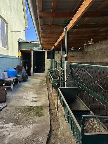 Долгосрочная аренда домов: 240 м², 7 комнат, Утепленный, Видеонаблюдение, Забор, огорожен — 29