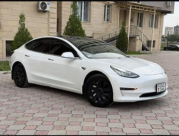 100 перохдка: Tesla Model 3: 2021 г., 5 л, Автомат, Электромобиль, Седан — 3