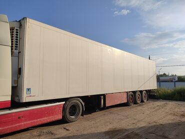 купить фуру с прицепом бу: Прицеп, Schmitz Cargobull, Рефрижератор, от 12 т, Б/у