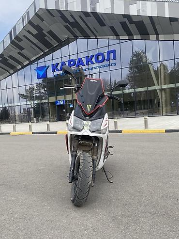 Скутеры: Тип скутера 150 куб. см, Бензин, Новый — 12