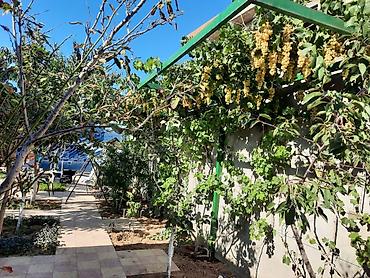 Bağ evlərinin kirayəsi: Bilgəh qəs., 200 kv. m, 3 otaqlı, Hovuzlu, Kombi, Qaz, İşıq — 22