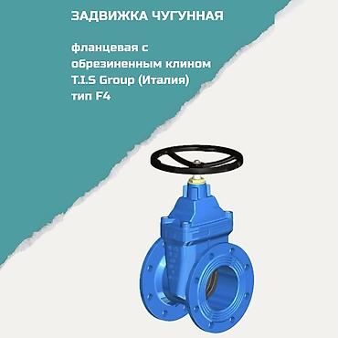 Задвижка чугунная фланцевая с обрезиненным клином T.I.S Group