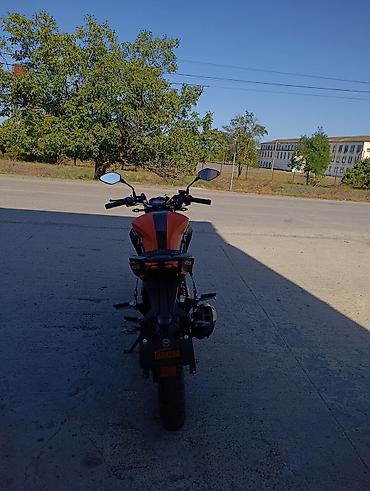 freedom ninja 250: 200 sm3 — 5