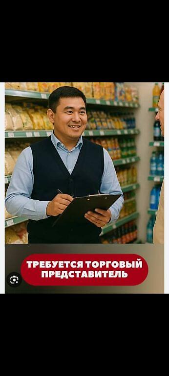 агент керек: Требуется торговый представитель по городу Бишкек и региону Кара Балта — 1