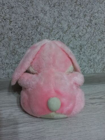 Oyuncaqlar: Dinozavr ~35 sm Ördək ~25 sm Tovuz quşu ~ 20sm Tutuquşu ~ 20 sm — 9