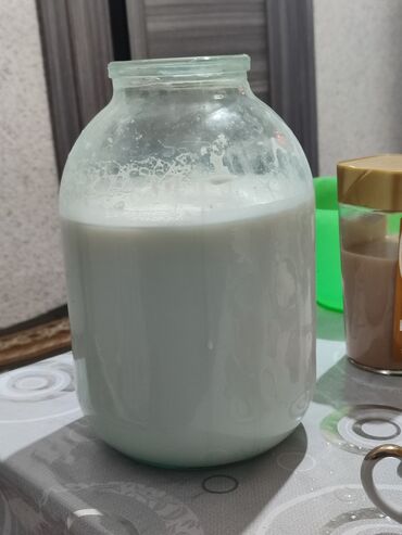 кокосовое молоко бишкек: Молочные продукты и яйца