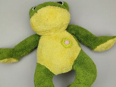 rossmann klapki dla dzieci: Mascot Frog, condition - Good