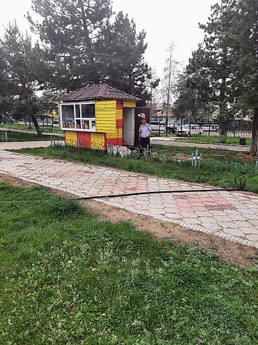 эски холодильник: Готовый бизнес,фризер для мягкого мороженого,павильон 15м2 — 1
