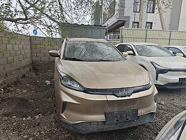 Zeekr: Zeekr : | 2020 г. Кроссовер — 1