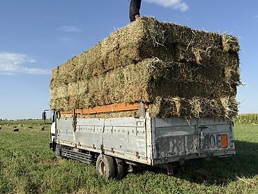 1kr fe: Mercedes-Benz : 1994 г., 6 л, Механика, Дизель — 7