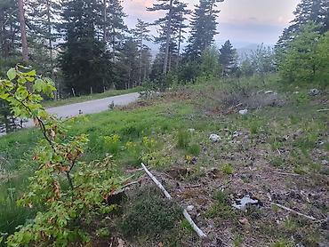 kuce na selu: Na prodaju plac 11.3 ari na Zlatiboru pored asfaltnog puta udaljenosti — 4