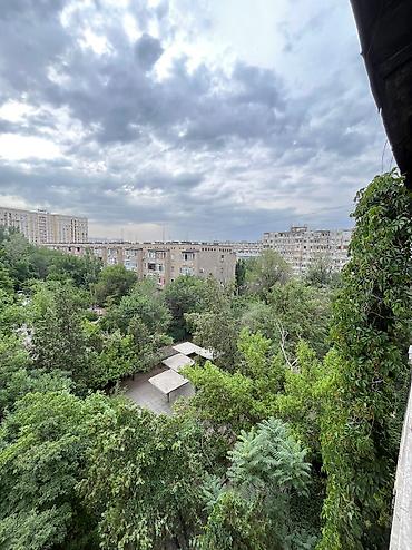 Продажа квартир: 3 комнаты, 72 м², 105 серия, 5 этаж, Евроремонт — 13