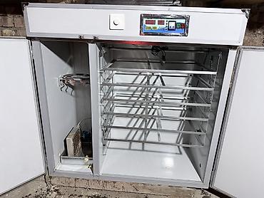 услуги инкубатор: 1050 жумурткалык инкубатор Как новый, 3 месяца отработал всего лишь — 4